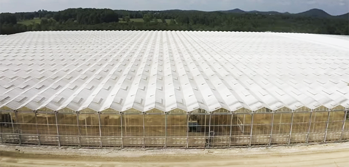 The largest indoor farm in the world