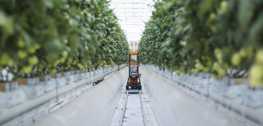 Pure Harvest grows fresh fruits and vegetables in a climate-controlled environment