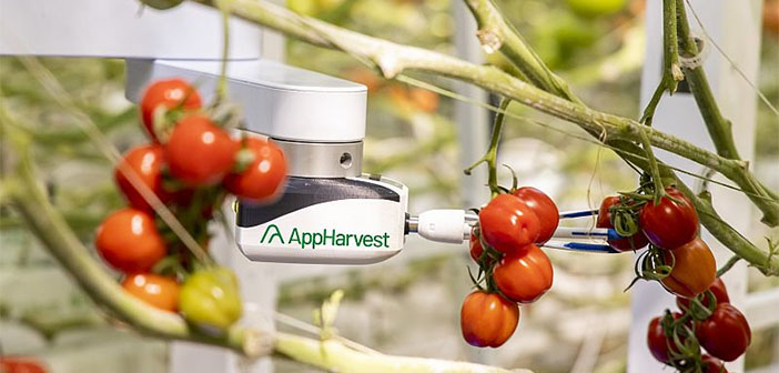 AppHarvest acquires agricultural robotics and AI specialist Root AI to boost tomato production