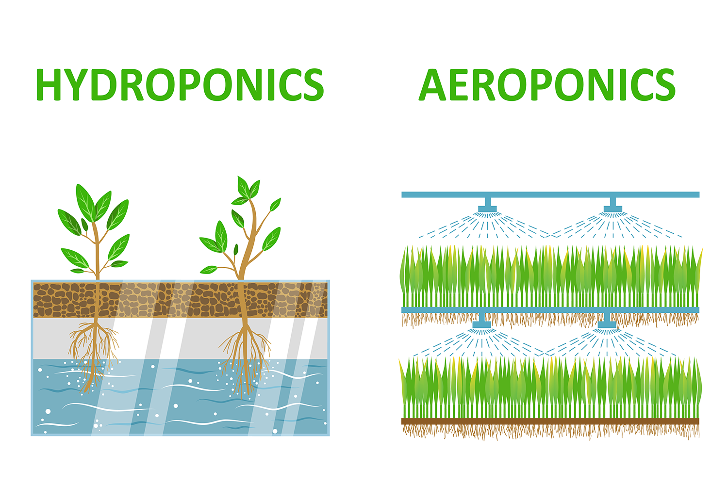 Hydroponics vs Aeroponics