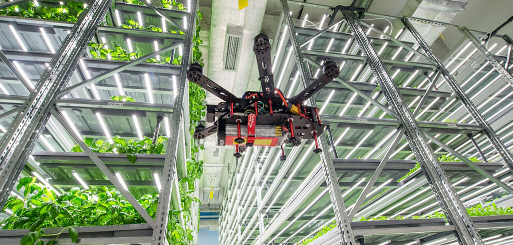 For the countries of the Gulf Cooperation Council (GCC) the trial farm will be the first AI managed vertical farm to use drones to monitor crop health and manage yields
