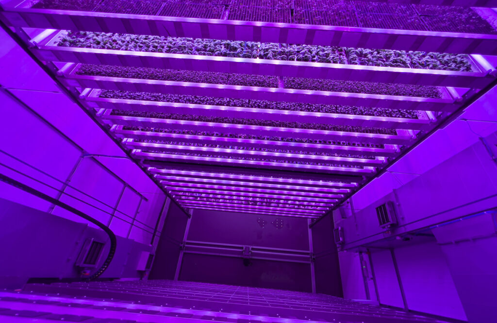 Intelligent Growth Solutions’ vertical farming technology at its Crop Research Centre in Dundee, Scotland