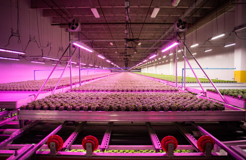 Soil Organic’s latest indoor farm set for San Antonio, Texas