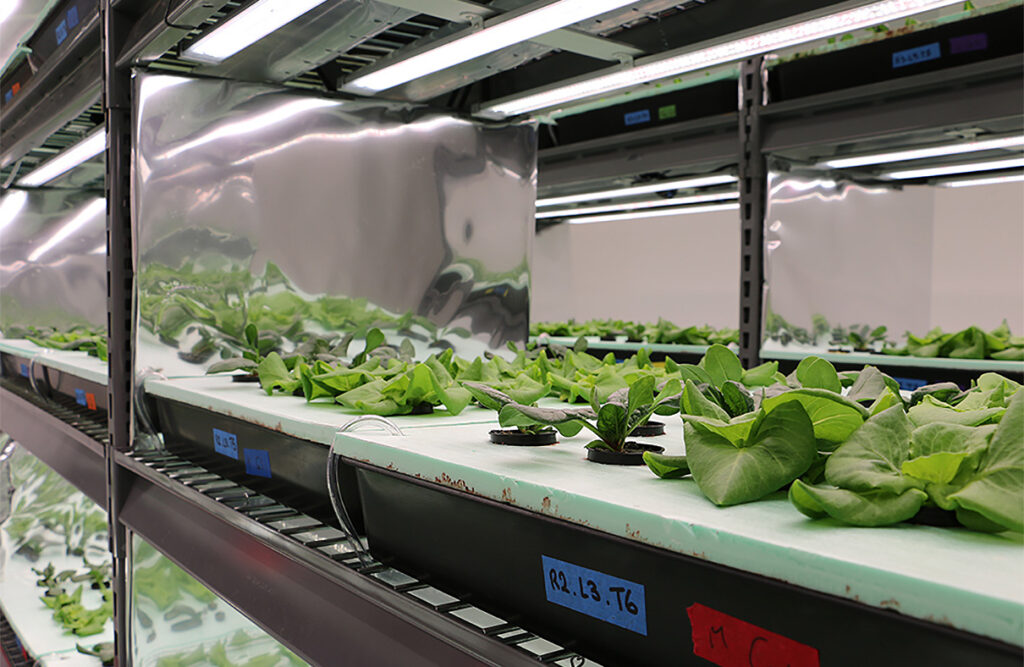 University of Georgia partners with Agrify for on-campus vertical farms