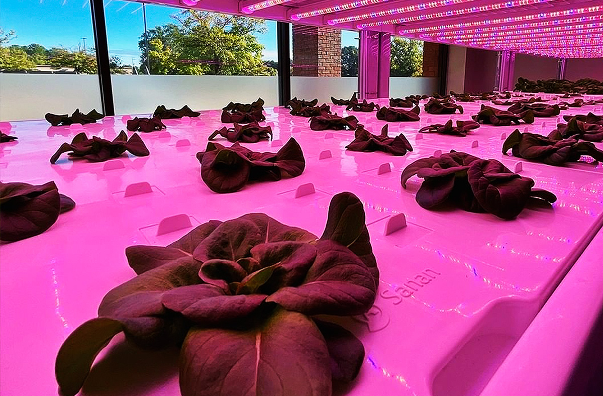 Nouryon sees potential of AGEYE platform and invests Vertical Farming Today