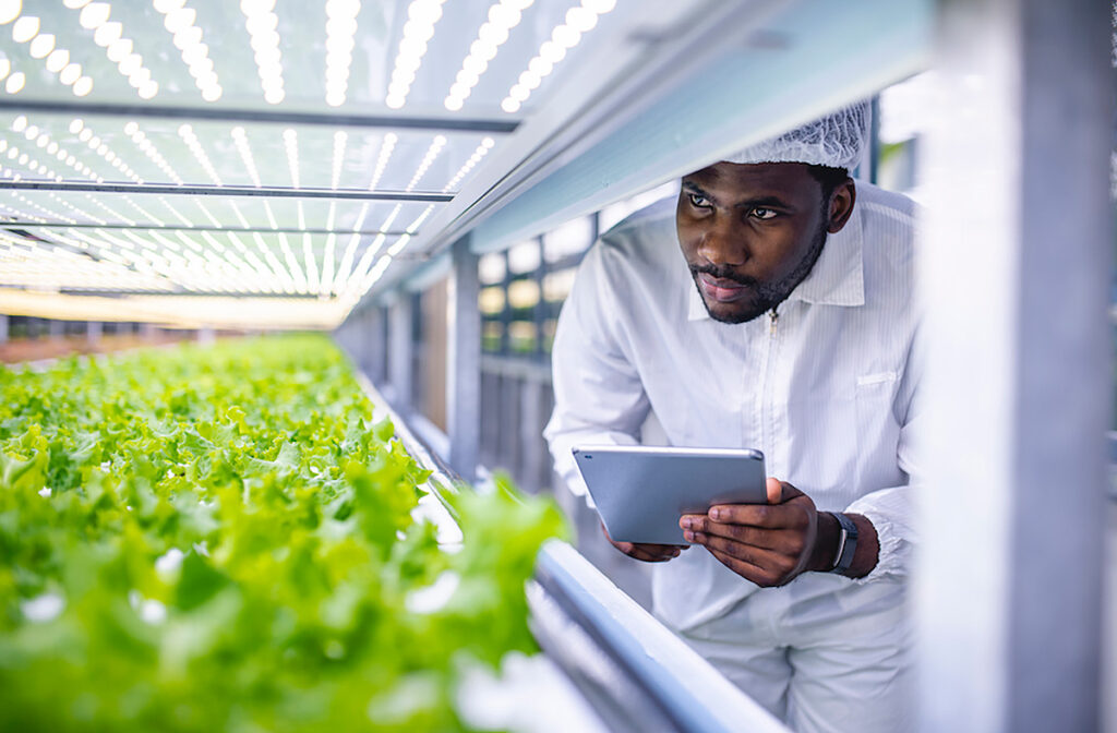 New JV brings largest vertical farm to Saudi Arabia