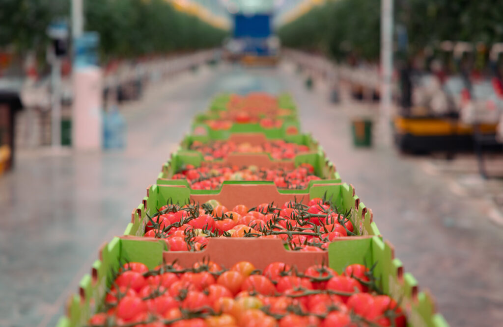 AppHarvest’s indoor farm network now shipping produce from all four farms
