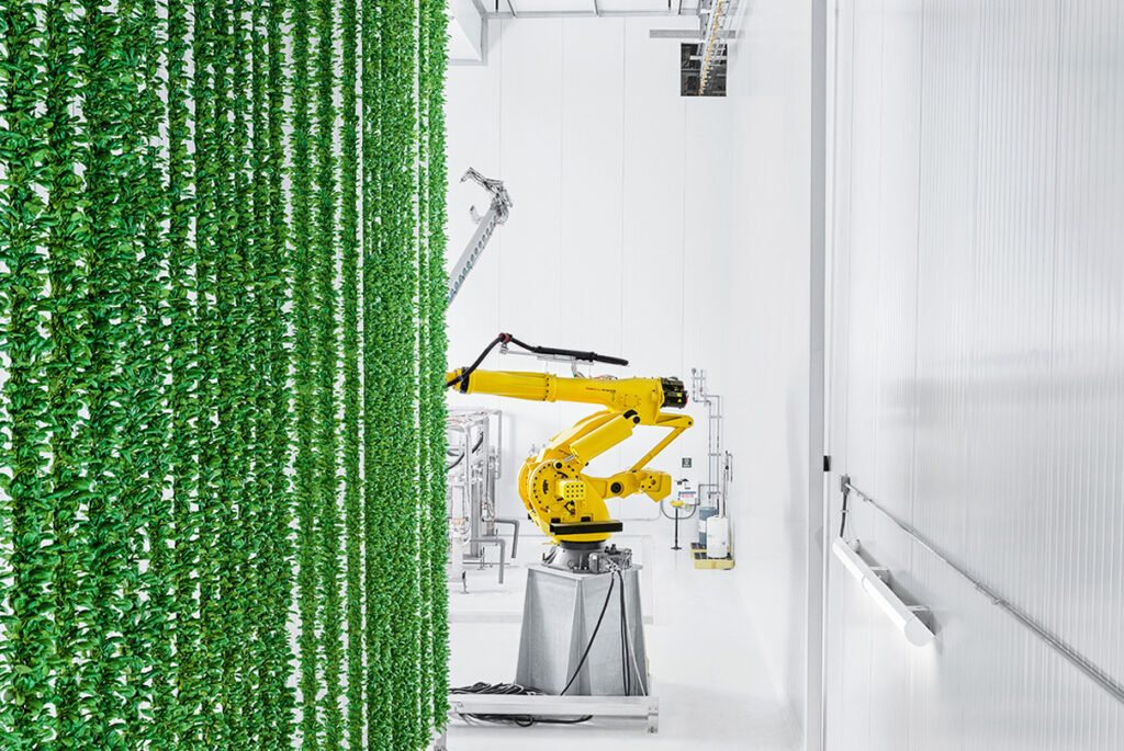Has Plenty’s new vertical farm cracked the code on scalable indoor farming?