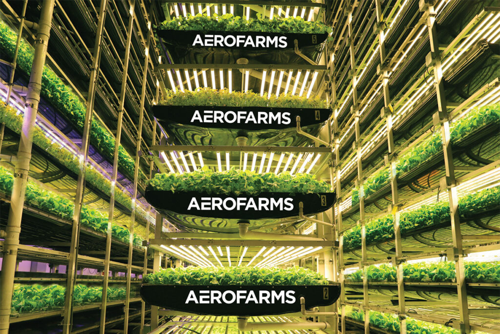 AeroFarms files for Chapter 11 bankruptcy protection