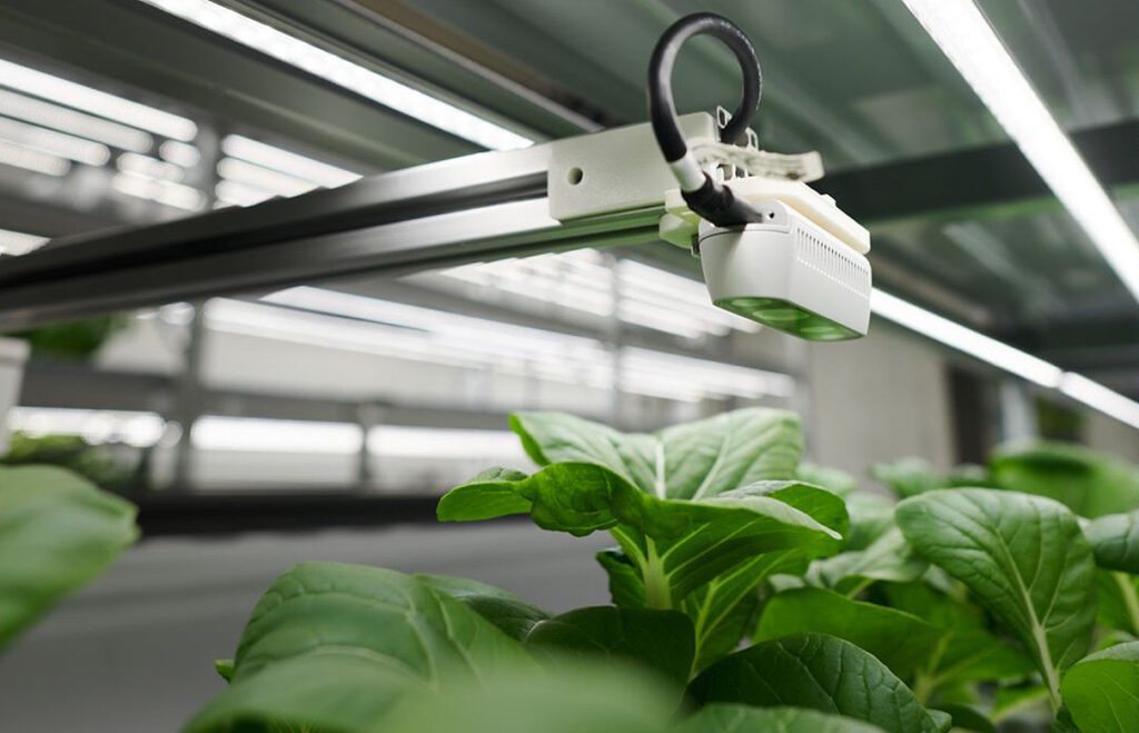 Seasony secures grant for AI enabled seed and plant monitoring in vertical farms