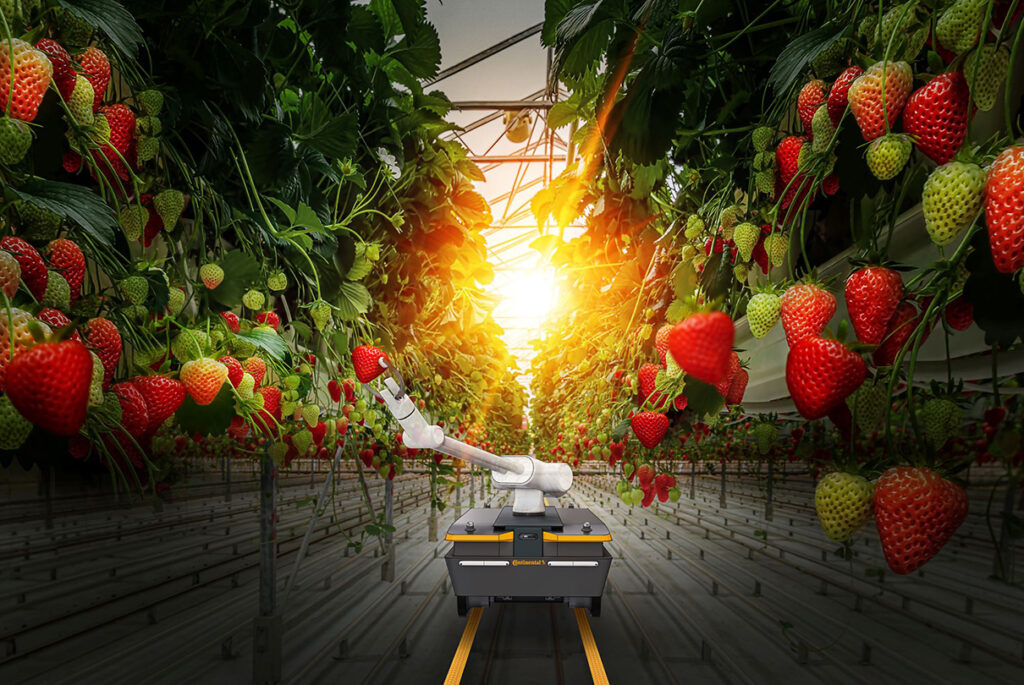 Continental’s autonomous greenhouse robot can carry various implements to fulfill a variety of tasks such as selective harvesting.