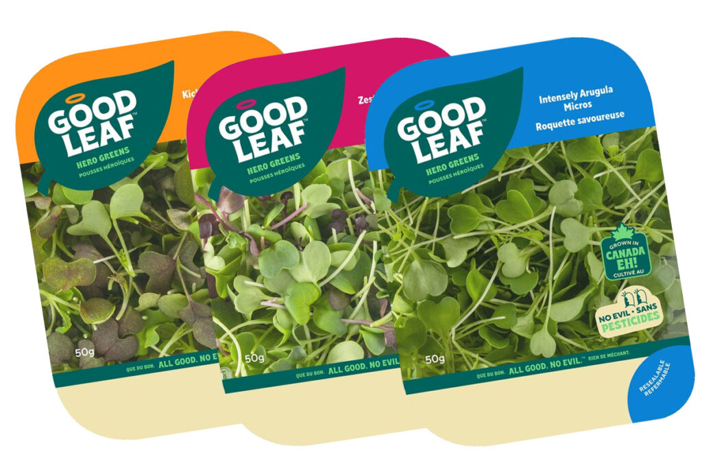 Test crops planted at GoodLeaf's latest vertical farm in Montreal, Canada